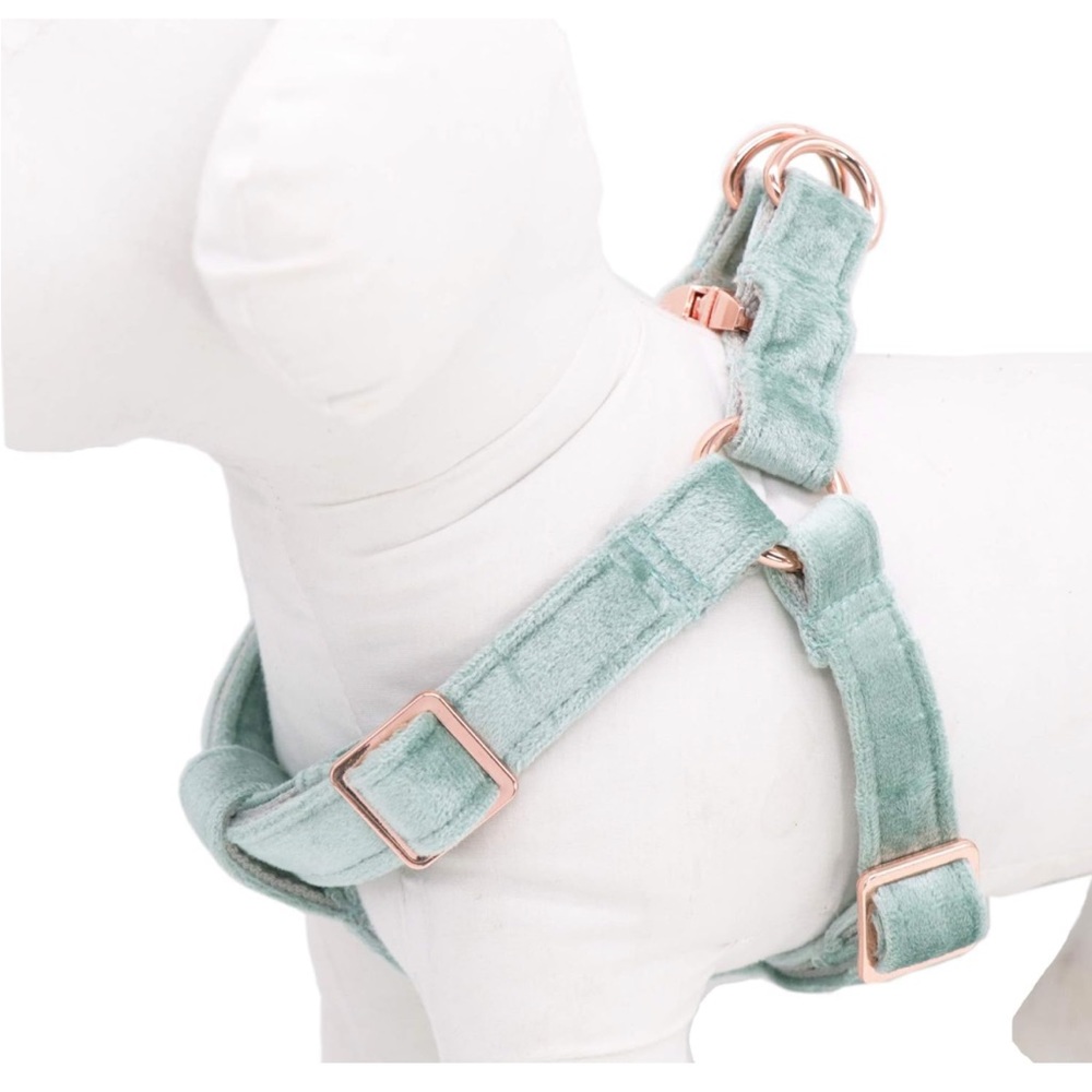 Soft Velvet Dog Harness - Mint Green